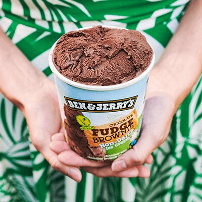 Some one holding a pint of Non-Dairy Chocolate Fudge Brownie