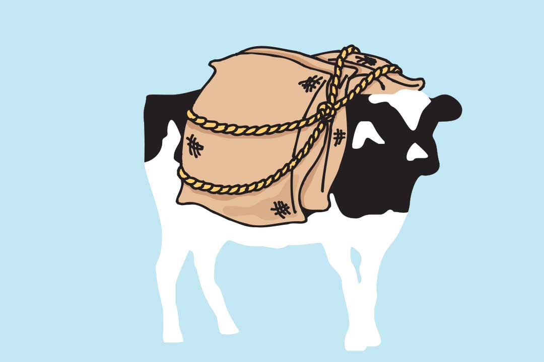 Woodie säkkejä selässään