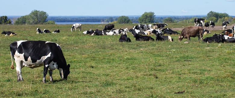 image-from-the-document-manager-3